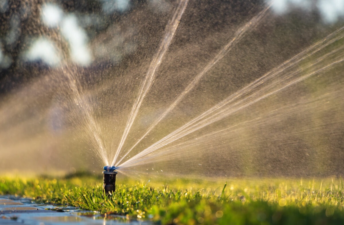 Sprinklers and drip line installation will keep your lawn looking green with year round irrigation from Bonney Lake Landscapes in Seattle.