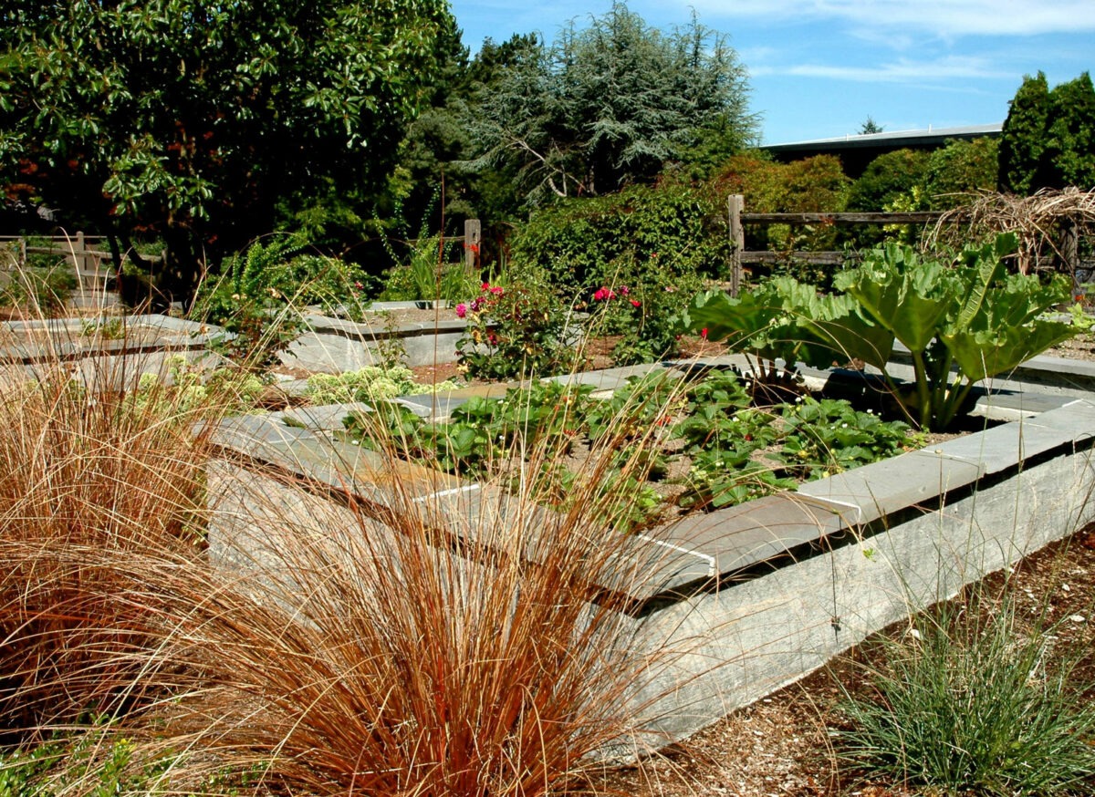 Raised garden beds made with concrete and stone give ease of use for gardening in the Seattle area by Bonney Lake Landscapes.