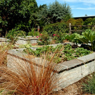 Raised garden beds made with concrete and stone give ease of use for gardening in the Seattle area by Bonney Lake Landscapes.
