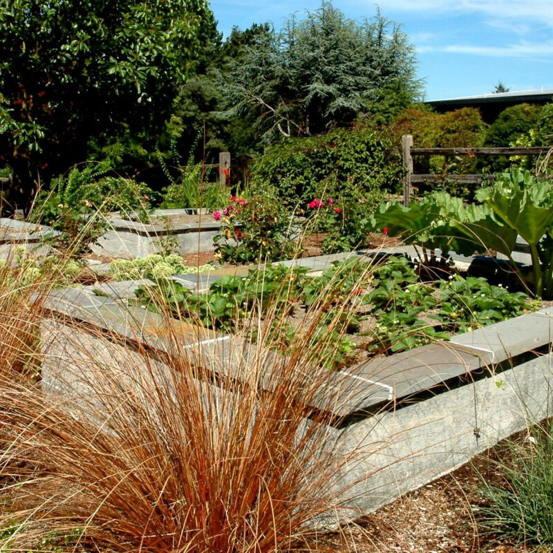 Raised garden beds made with concrete and stone give ease of use for gardening in the Seattle area by Bonney Lake Landscapes.