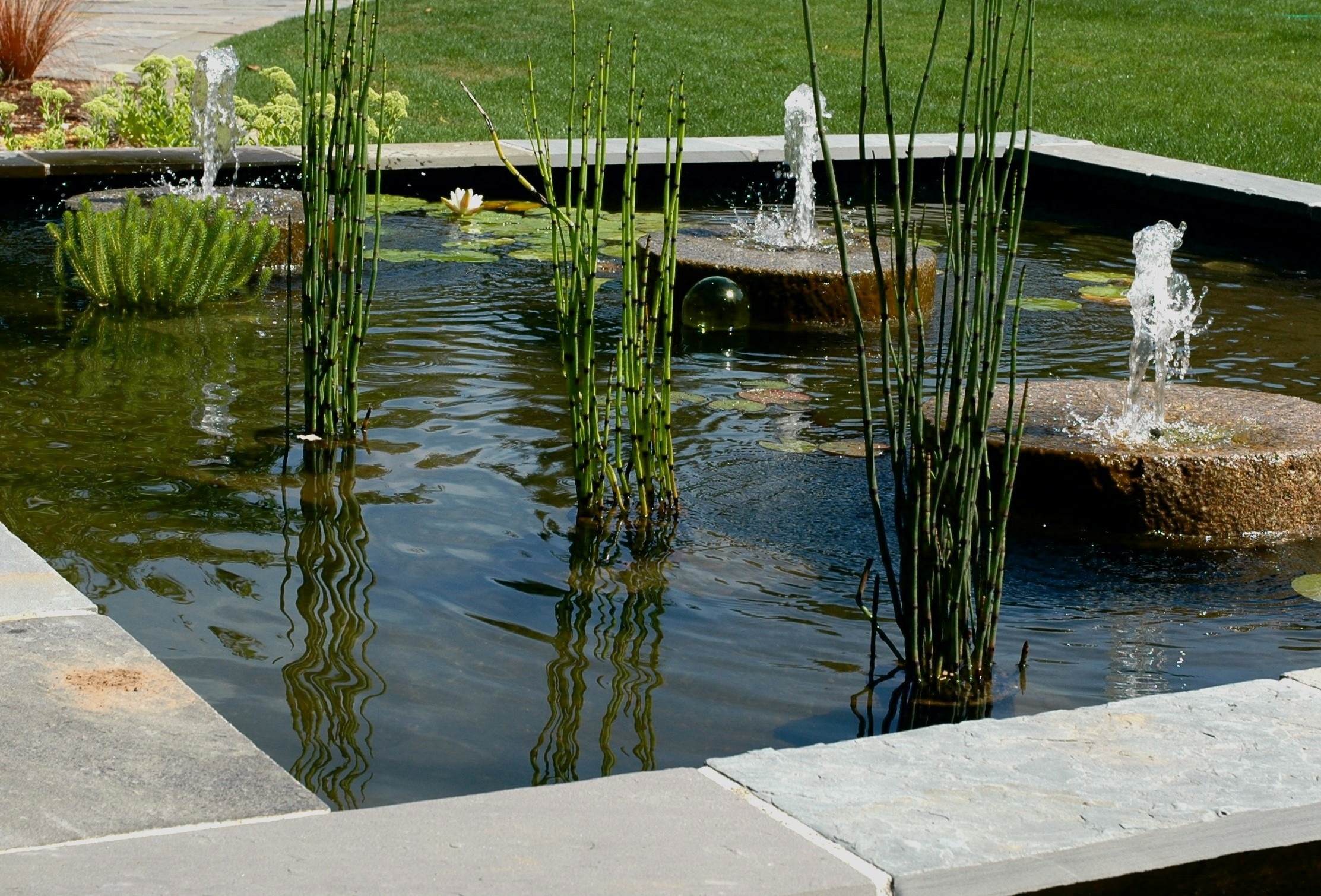Paver Patio surrounding pool in Seattle