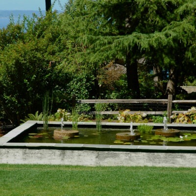 Concrete koi and lily pond has three stone water fountains to circulate water for fish. Custom pond by Bonney Lake Landscapes in Seattle, Washington.