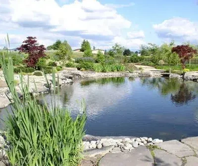 Large commercial pond installation and landscaping for park in Seattle, Washington by Bonney Lake Landscapes.