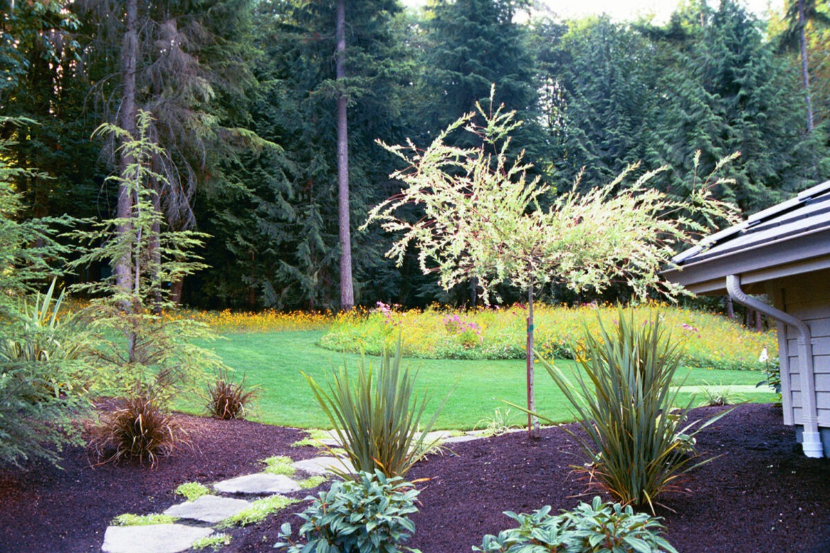 Natural wildflowers and landscaping enhances the large backyard of a residence to promote bee pollination in Seattle.